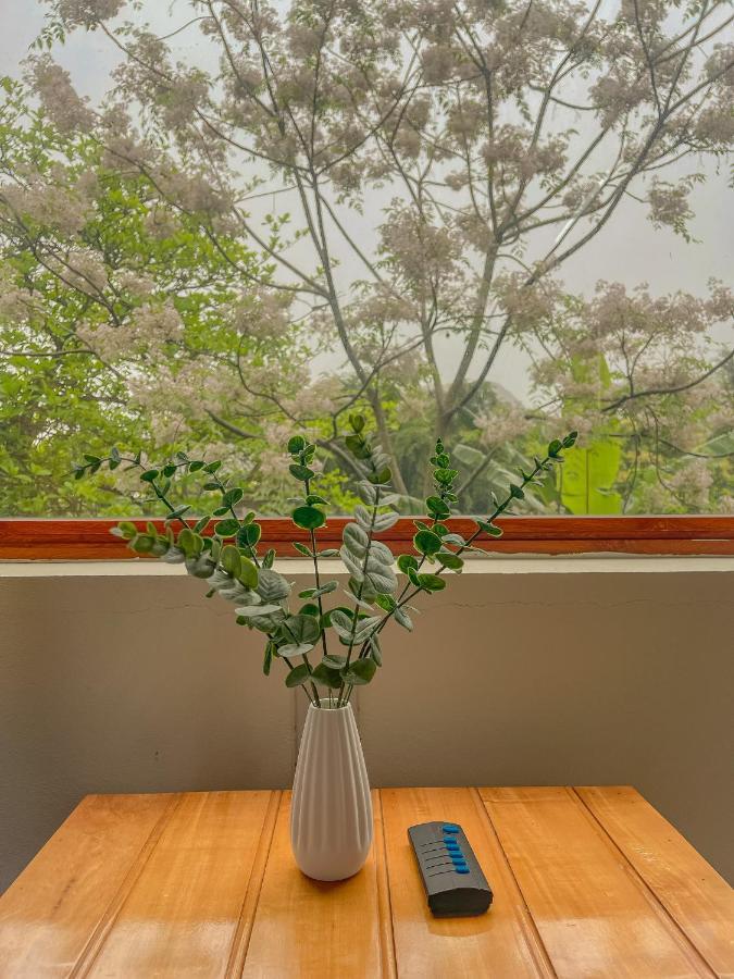 Cosiana Homestay Ninh Binh Zewnętrze zdjęcie